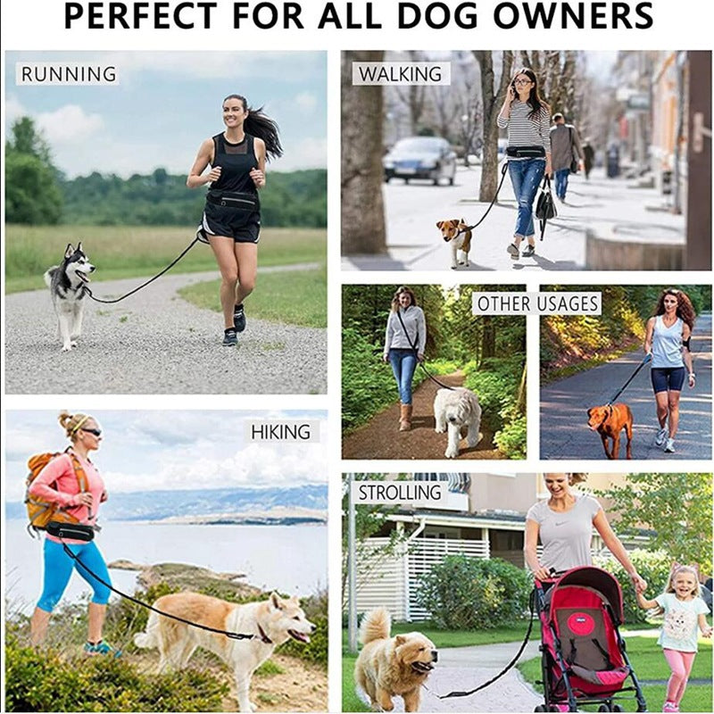 Hands Free Dog Leash Pet Walking And Training Belt With Shock Absorbing Bungee Leash