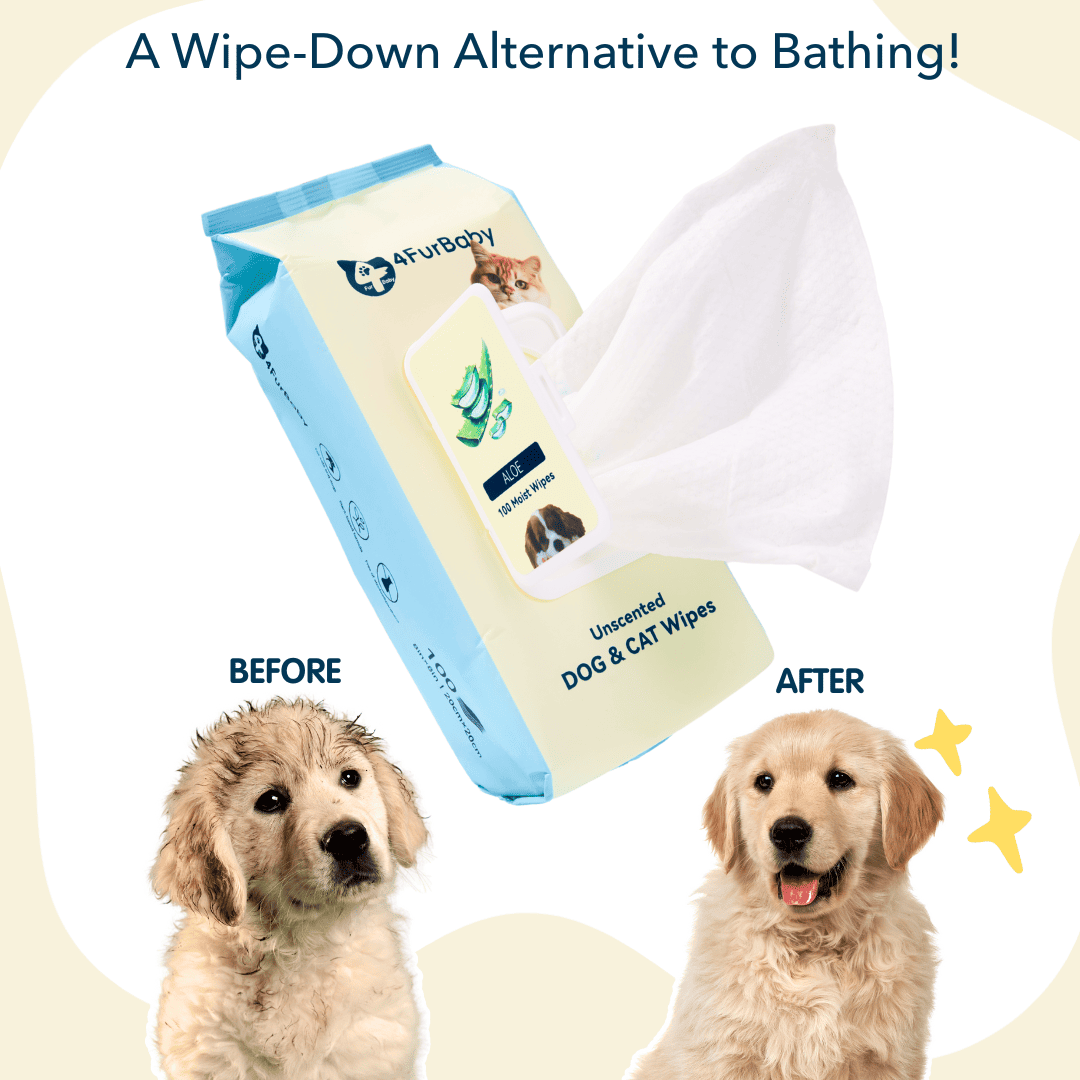 Plant-Based Dog & Cat Grooming Wipes – Gentle & Compostable Pet Wipes