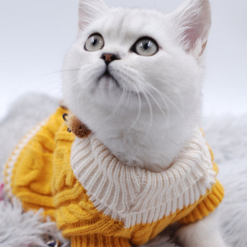Classic Knitted Pet Sweater for Small Dogs