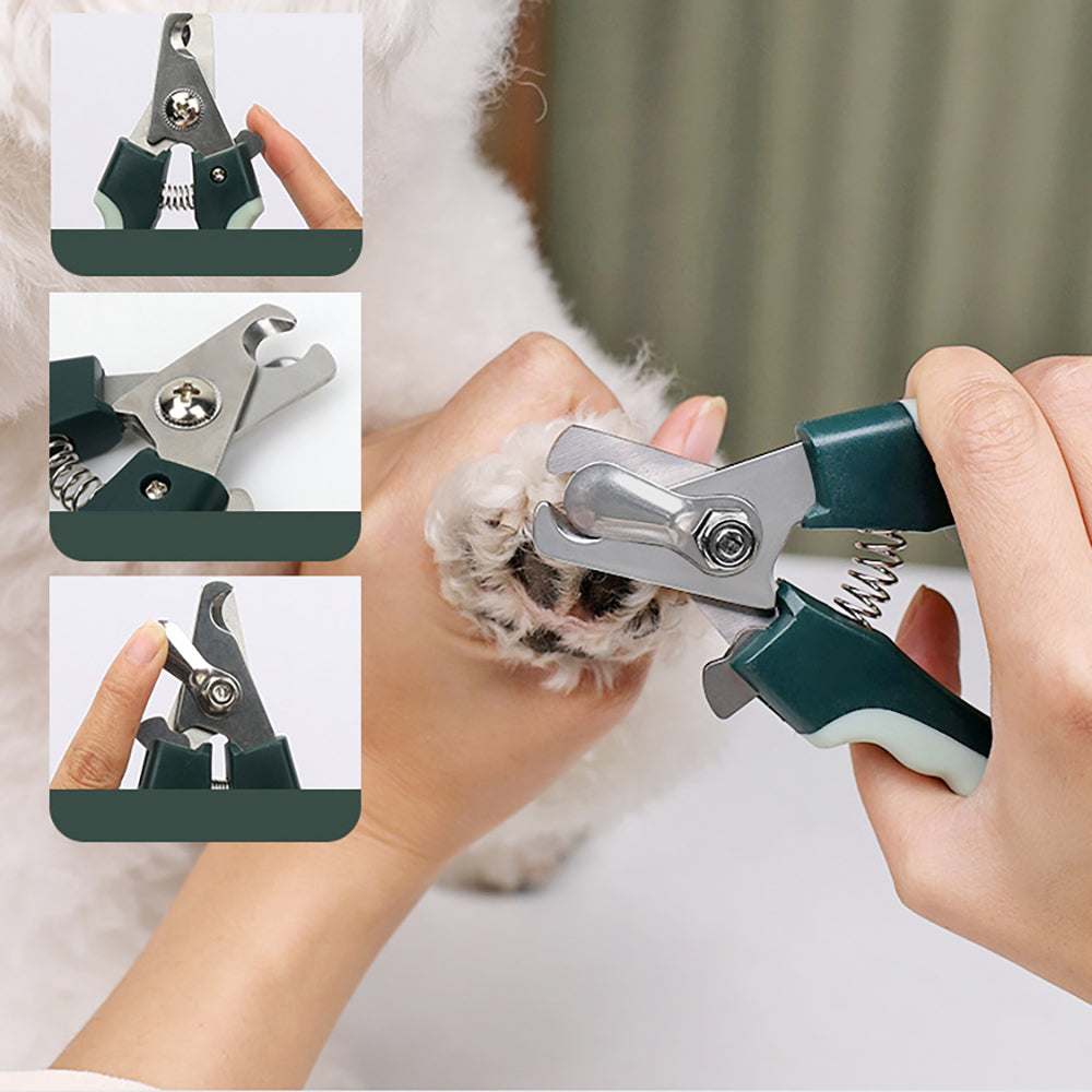 Professional Dog Grooming Kit, Cordless Dog Grooming Clippers For Thick Coates
