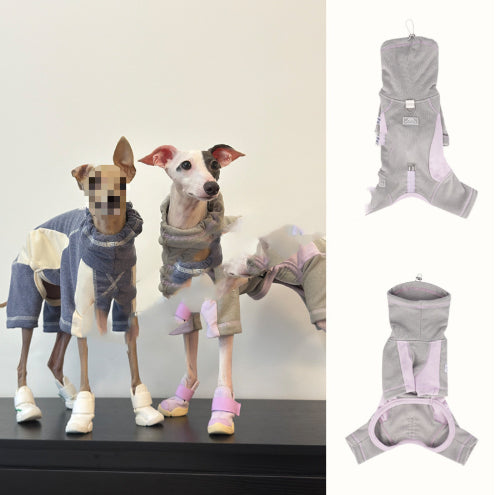 Dog  Sporty Style Four-Leg Base Layer Outfit