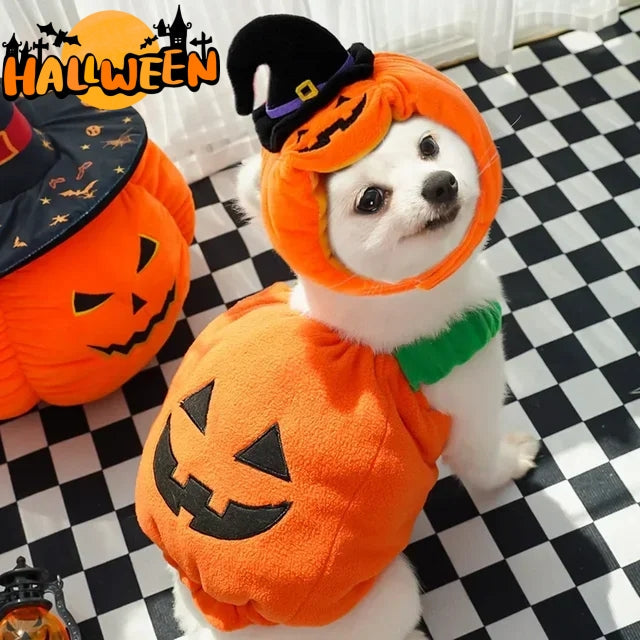 Halloween Pumpkin Vest For Dogs