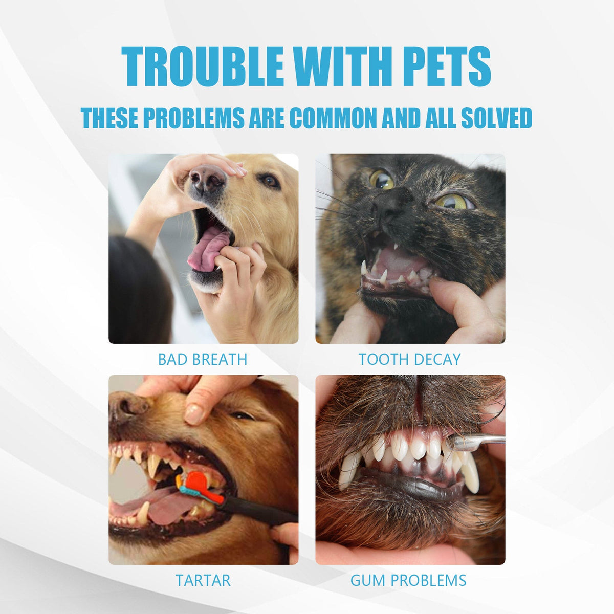 Pet Toothpaste, Fresh Breath Bad Breath