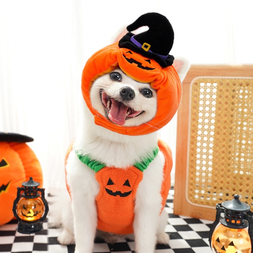 Halloween Pumpkin Vest For Dogs