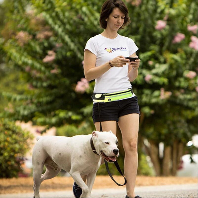Hands Free Dog Leash Pet Walking And Training Belt With Shock Absorbing Bungee Leash