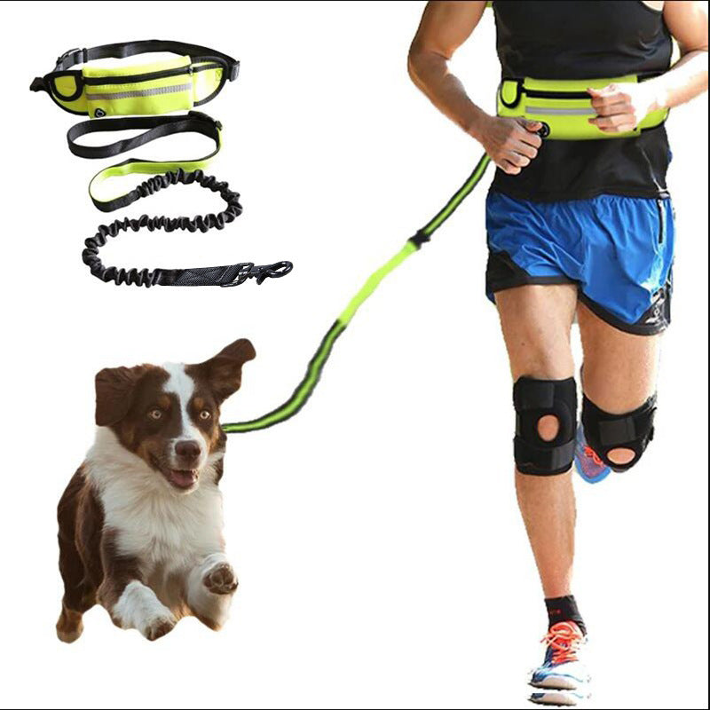 Hands Free Dog Leash Pet Walking And Training Belt With Shock Absorbing Bungee Leash