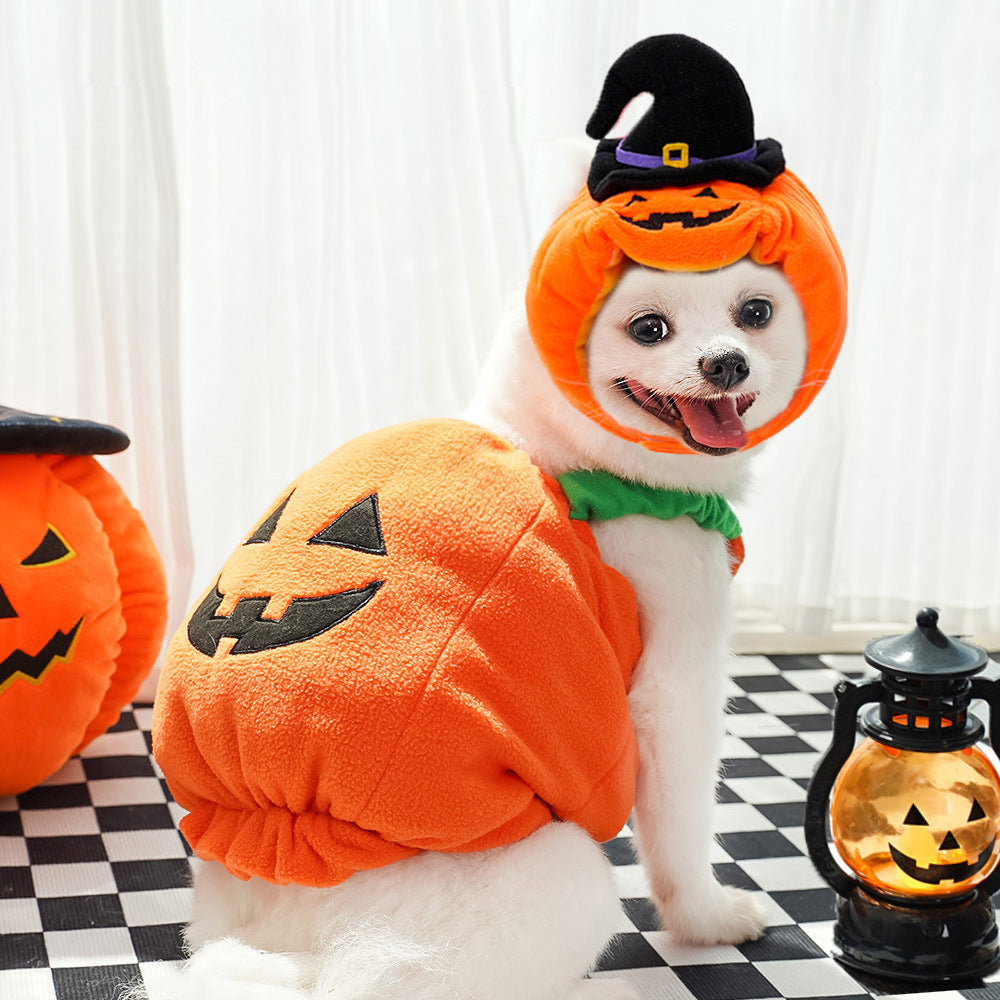Halloween Pumpkin Vest For Dogs