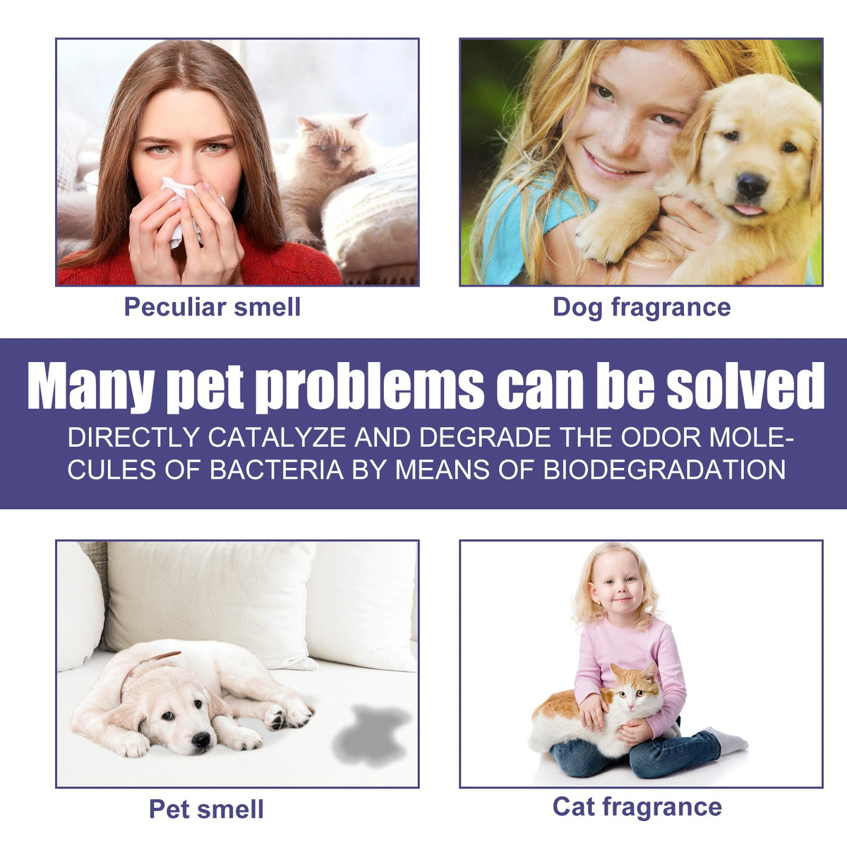 Pet Deodorant Spray To Remove Dog Odors, To Remove Urine Odor Body Odor Feces