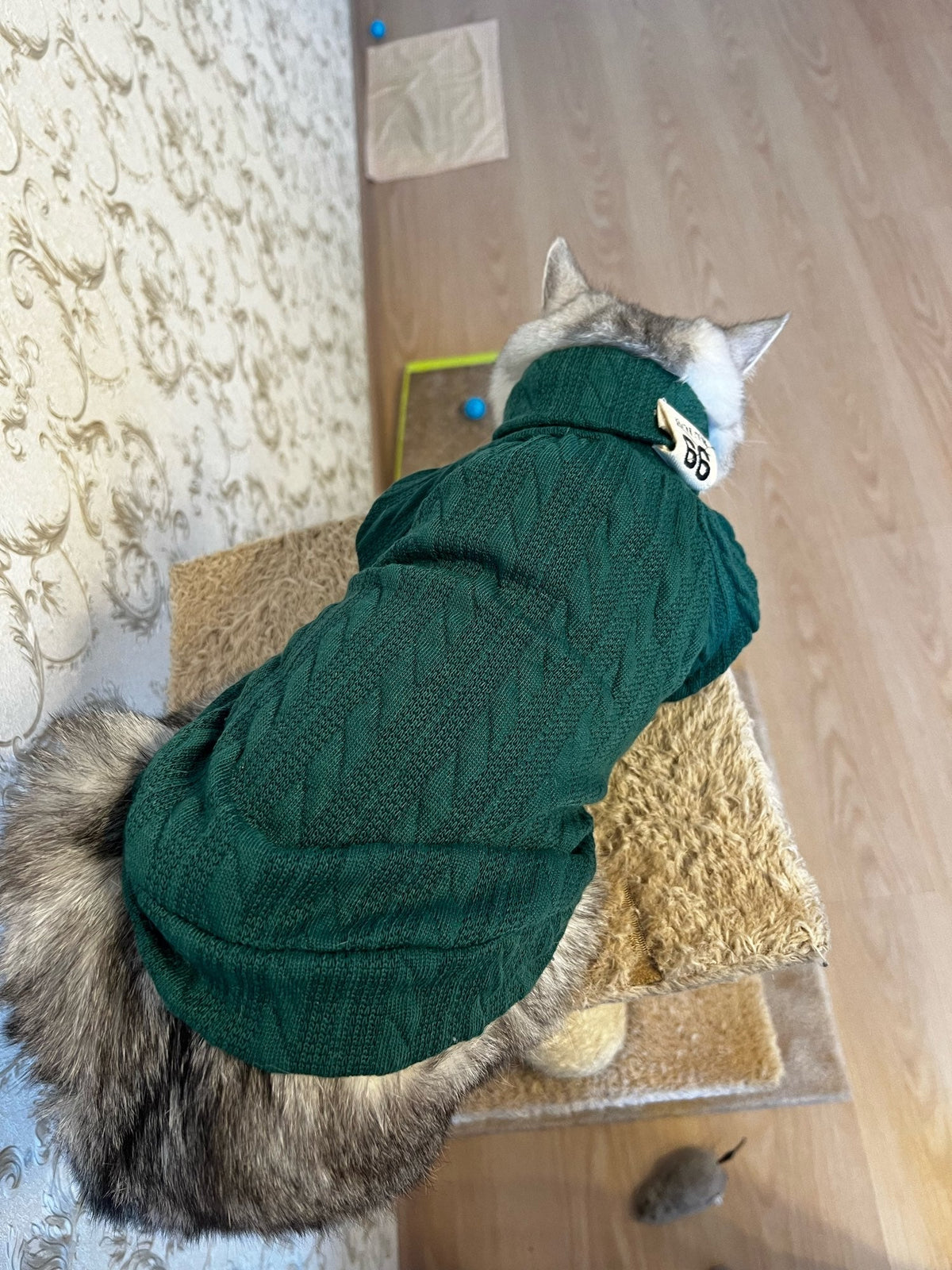 Winter Warm Knitted Turtleneck Sweater for Small Dogs