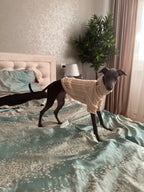 Winter Warm Knitted Turtleneck Sweater for Small Dogs