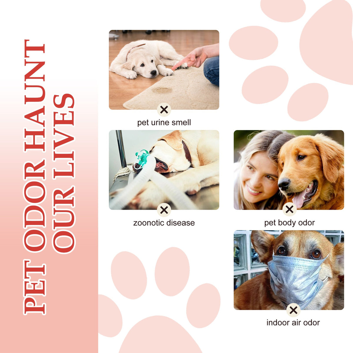 Pet Deodorant Spray, Indoor Dog, Stay Fragrance Refreshing Spray