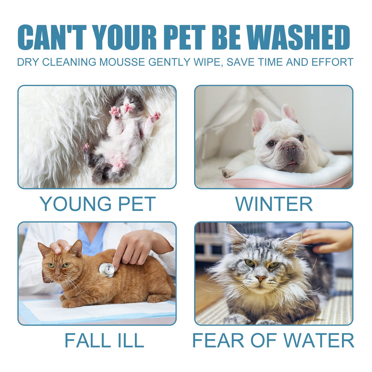 Pet Dry Cleaning Mousse Body Wash For Young Dogs Wash Free To Remove Odor