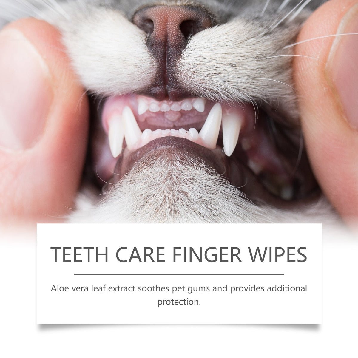 Dog Tooth Wipes, Tooth Cleaning, Tartar Stains Fresh Breath Wipes