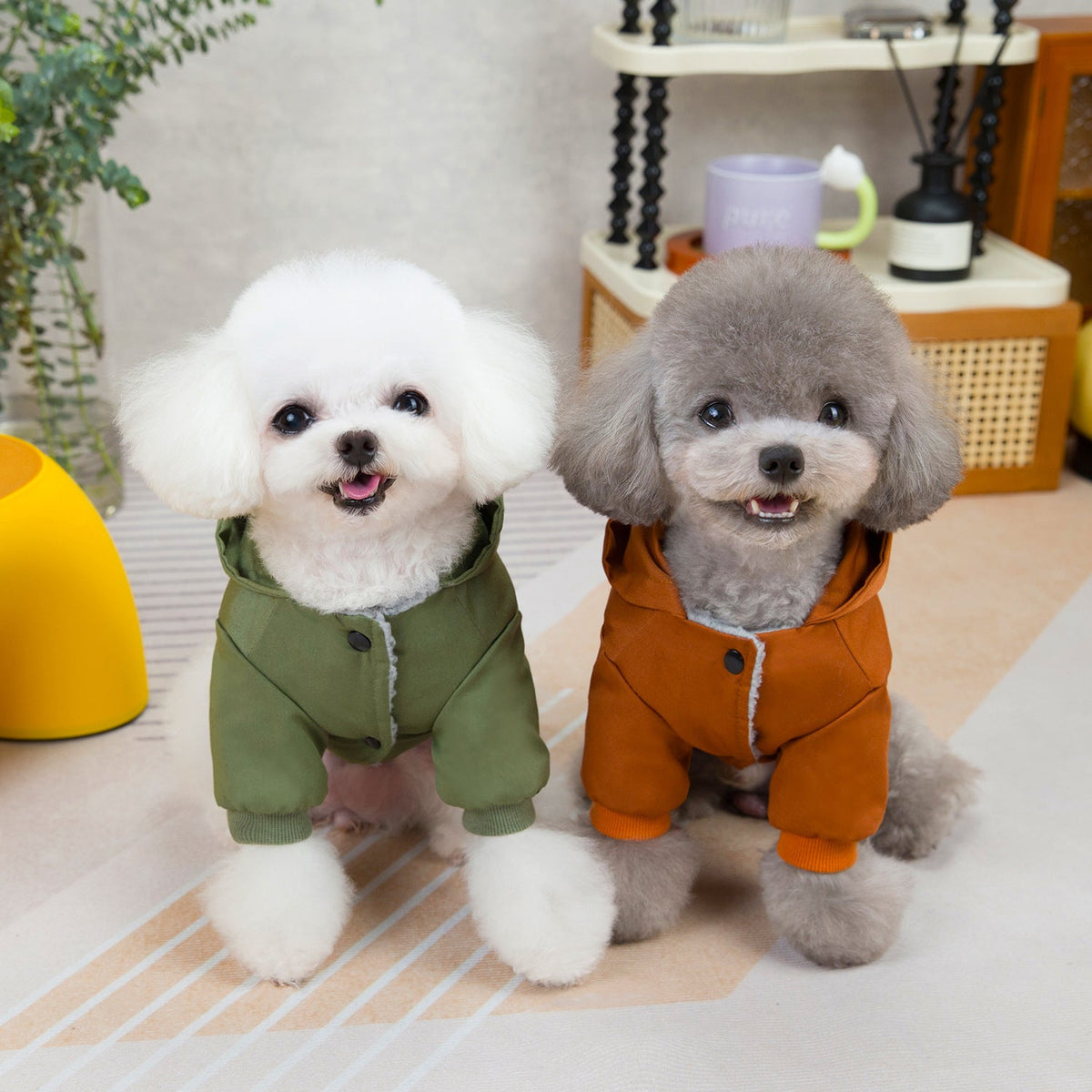 Dog Coat With Hood