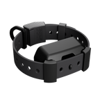 Training Collar Setup