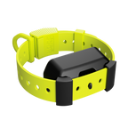 Training Collar Setup