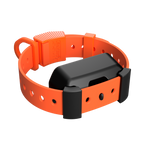 Training Collar Setup
