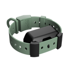 Training Collar Setup