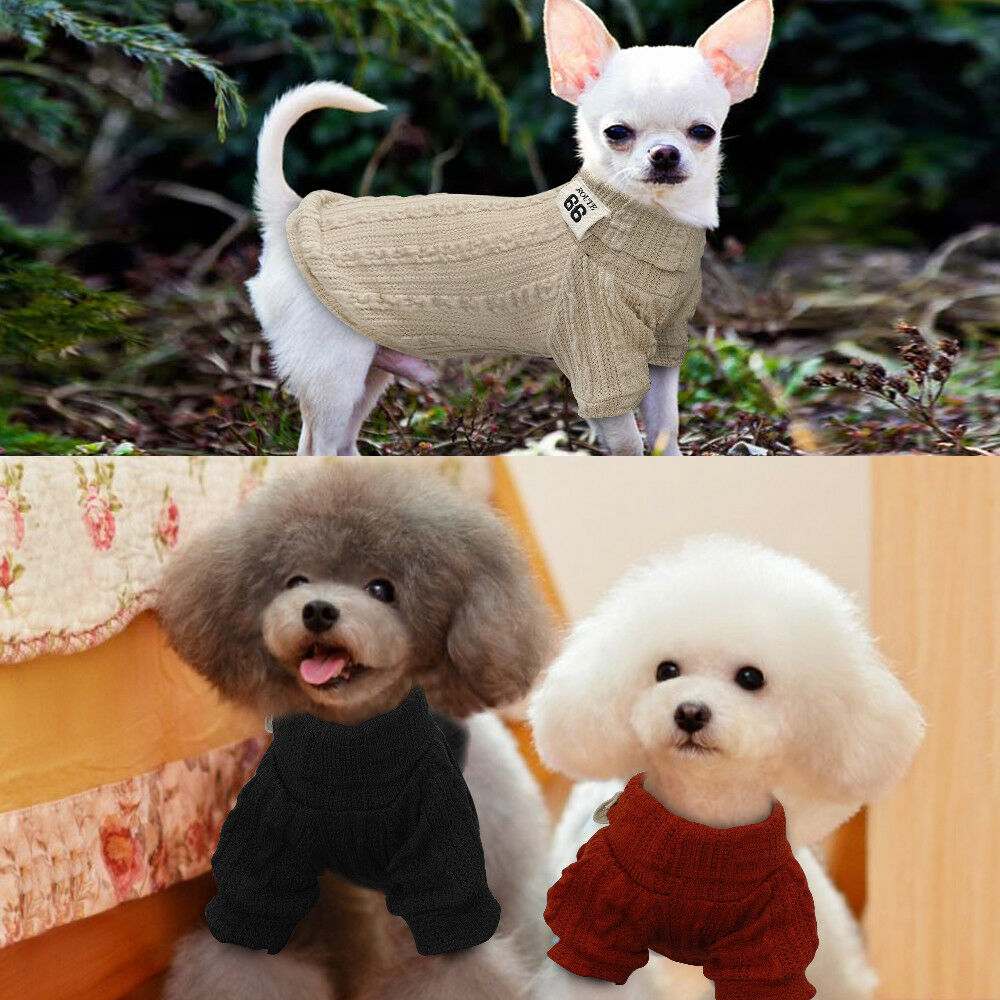Winter Warm Knitted Turtleneck Sweater for Small Dogs