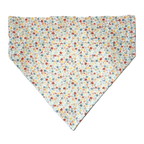 Personalized Dog Bandanas - Winter/Christmas Theme Designs