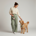 3-Piece Dog Harness & Leash Set