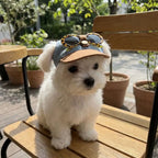 Korean Style Dog Sun Hat with Sunglasses Adjustable Denim Cap