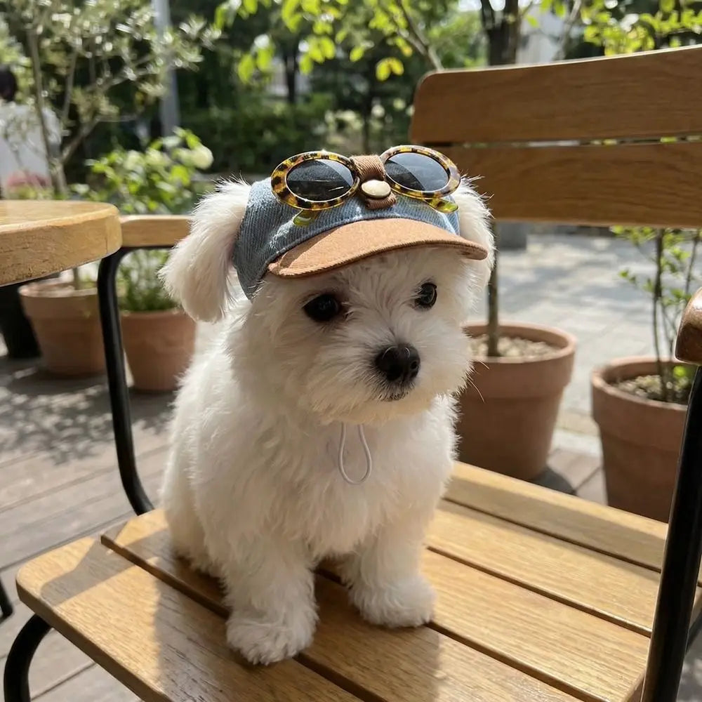 Korean Style Dog Sun Hat with Sunglasses Adjustable Denim Cap
