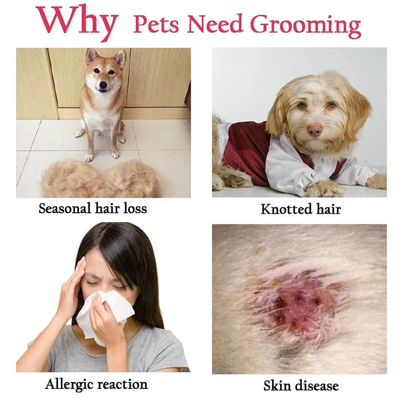 Stainless Pet Deshedding Brush Dog Hair Remover