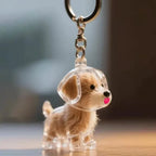 Lovely Dog Hair Storage Keychain Pendant for Bags, Couples Car Keys, Unique Jewelry Souvenir Gift Decoration Accessories Set