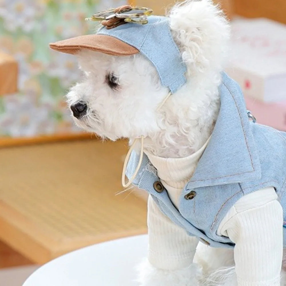Korean Style Dog Sun Hat with Sunglasses Adjustable Denim Cap