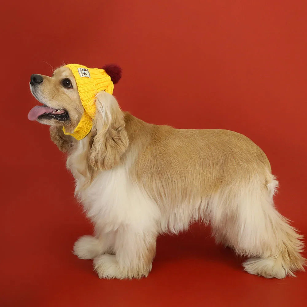 Winter Pet Dog Knitted Hat with Ear Holes