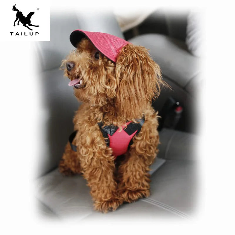 TAILUP Pet Hat Dog Hat Baseball Hat Summer Canvas Dog Cap Only For Small Pet Dog