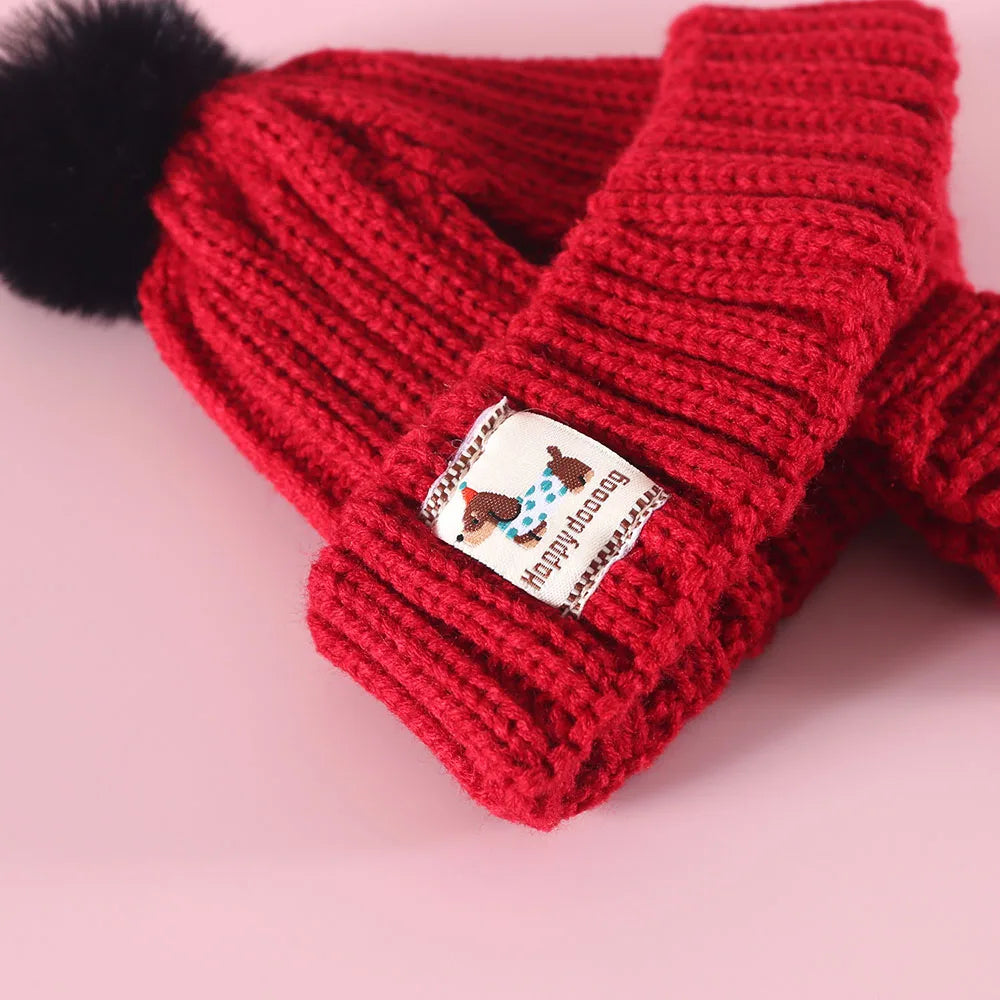 Winter Pet Dog Knitted Hat with Ear Holes