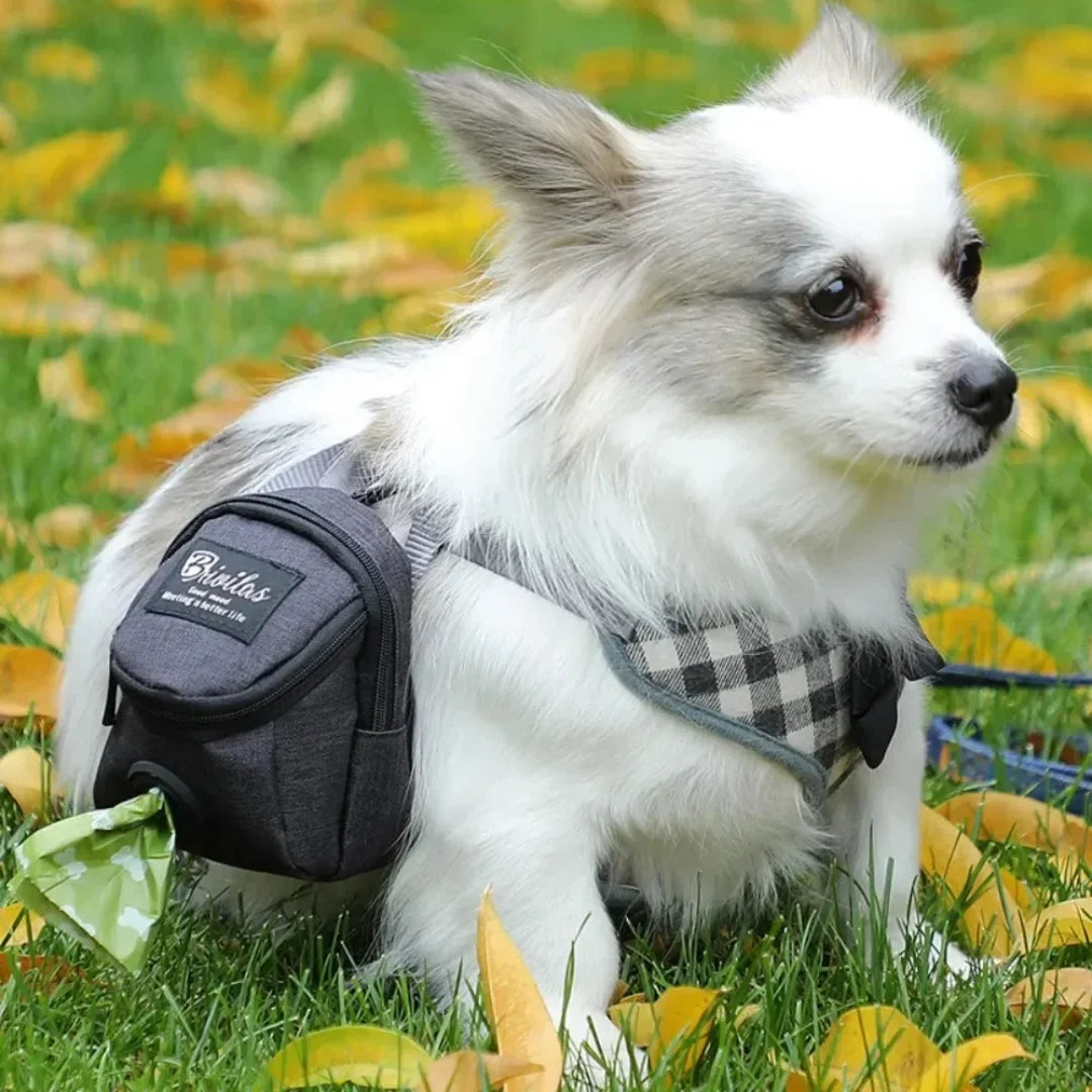 Portable Dog Training Treat Bag Outdoor Snack Reward Waist Bag Dog Poop Bag Dispenser