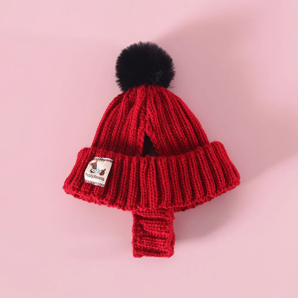 Winter Pet Dog Knitted Hat with Ear Holes