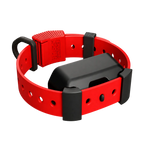 Training Collar Setup