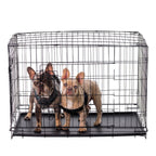 Classic Double-Door Wire Dog Kennel