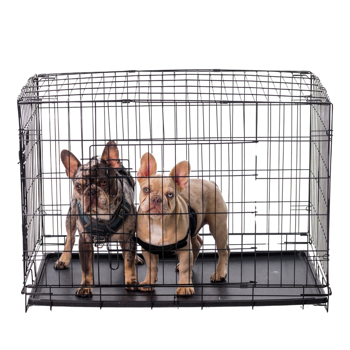 Classic Double-Door Wire Dog Kennel