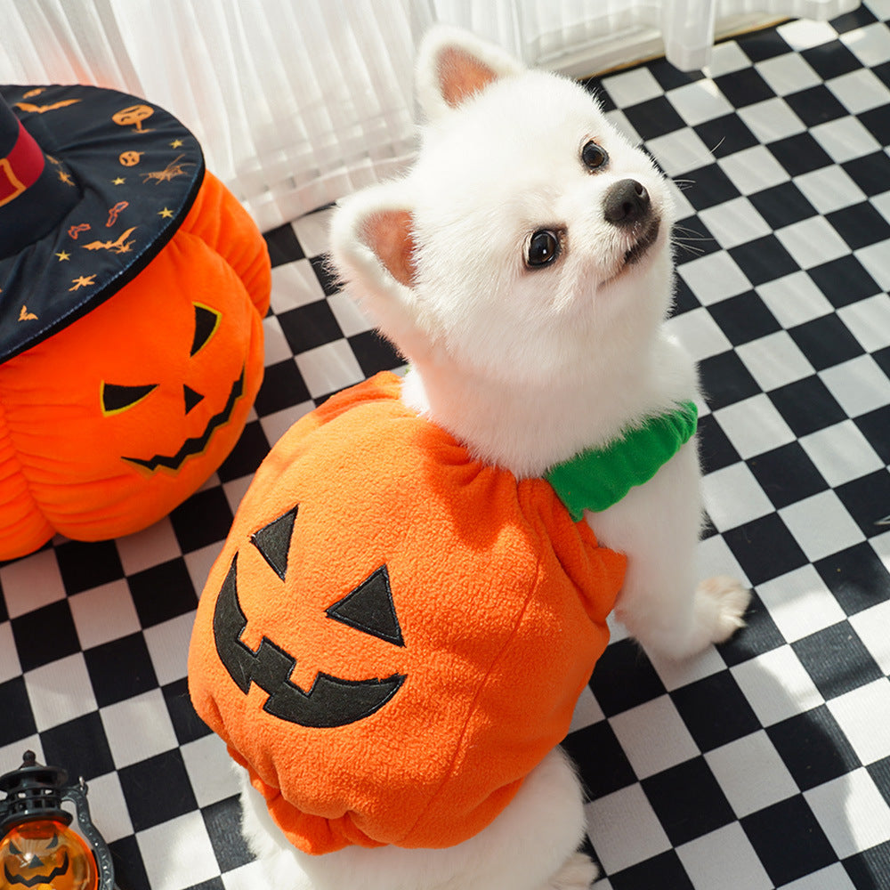 Halloween Pumpkin Vest For Dogs
