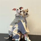 Dog  Sporty Style Four-Leg Base Layer Outfit