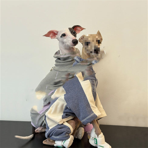 Dog  Sporty Style Four-Leg Base Layer Outfit