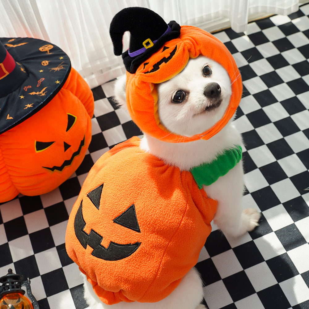 Halloween Pumpkin Vest For Dogs