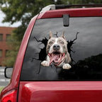 Funny Dog Head In The Crack Vinyl Car Stickers Decal For Car Window