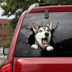 Funny Dog Head In The Crack Vinyl Car Stickers Decal For Car Window