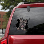 Funny Dog Head In The Crack Vinyl Car Stickers Decal For Car Window