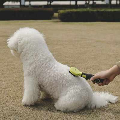 M-Pets Click & Groom Soft Bristle Pet Brush for Dogs Small