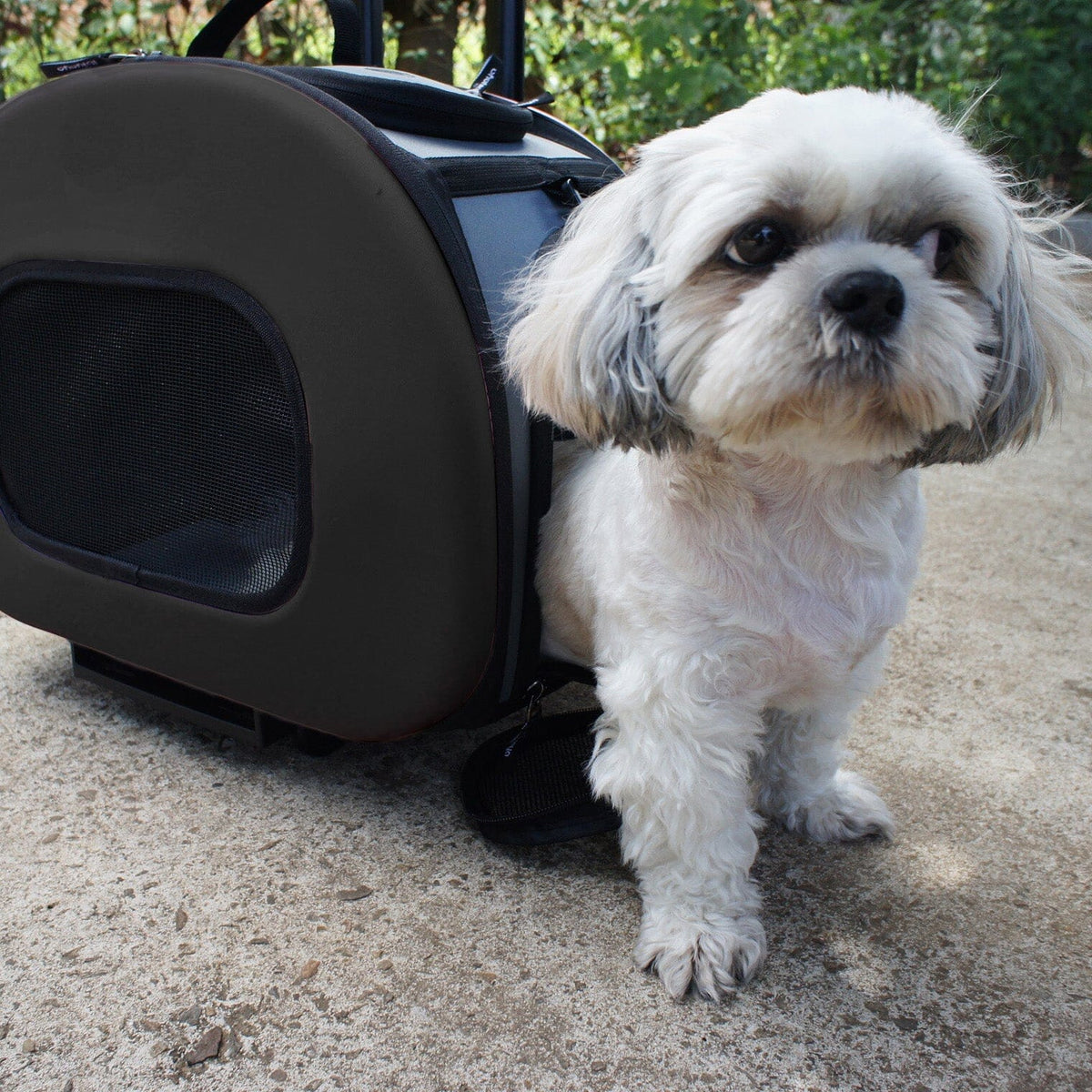 Pet Life ® 'Final Destination' Airline Approved 2-in-1 Tough-Shell Wheeled Dog Carrier Crate