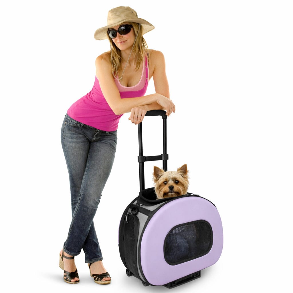 Pet Life ® 'Final Destination' Airline Approved 2-in-1 Tough-Shell Wheeled Dog Carrier Crate